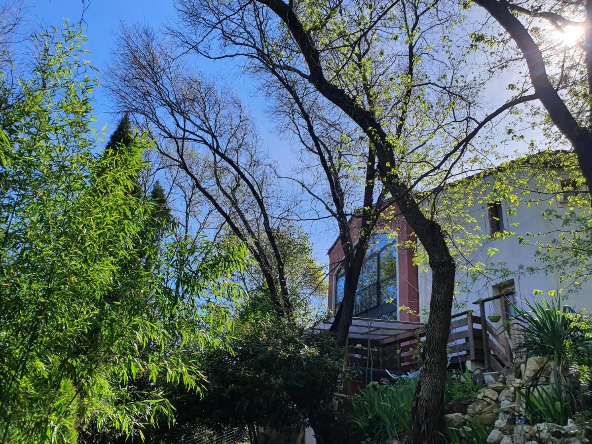 Chambres D'Hotes Le Bois Des Frenes Montarnaud Bagian luar foto